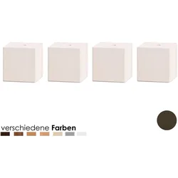 Hasena Wood-Line Füsse Ivio 10 cm / Kernbuche natur, geölt