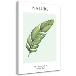 WANDBILD grünes blatt natur
