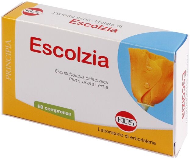 Principia Escolzia Compr 60