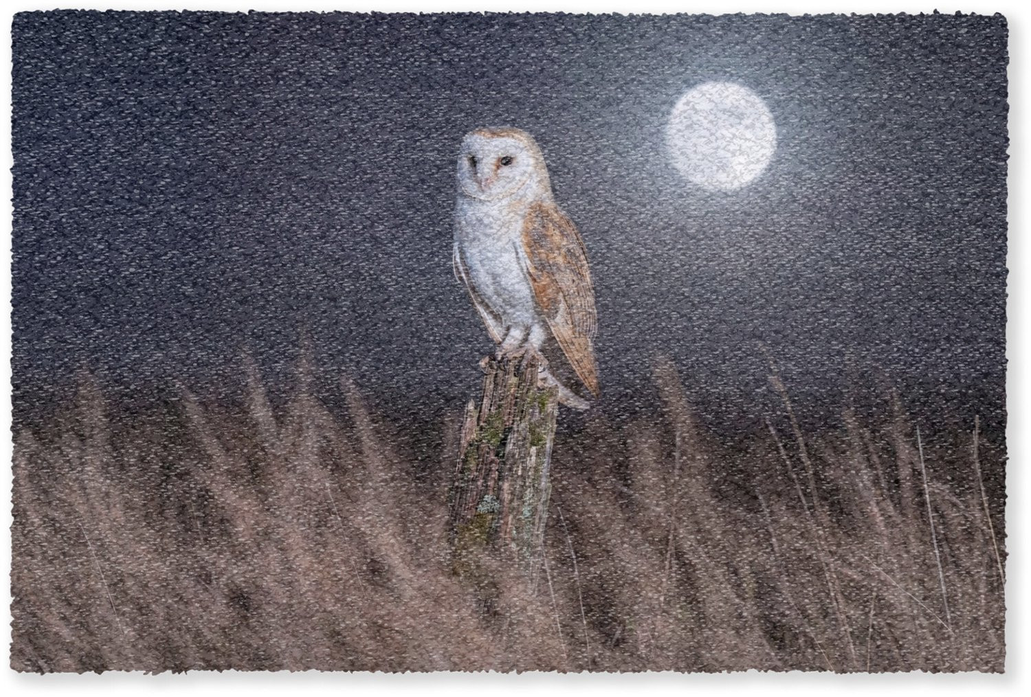 Kerkuil Droogloopmat Maan en Nacht voor binnen - 90 x 60 cm