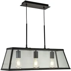 Glas Pendel Lampe schwarz Wohn Zimmer Beleuchtung Decken Hänge Laterne