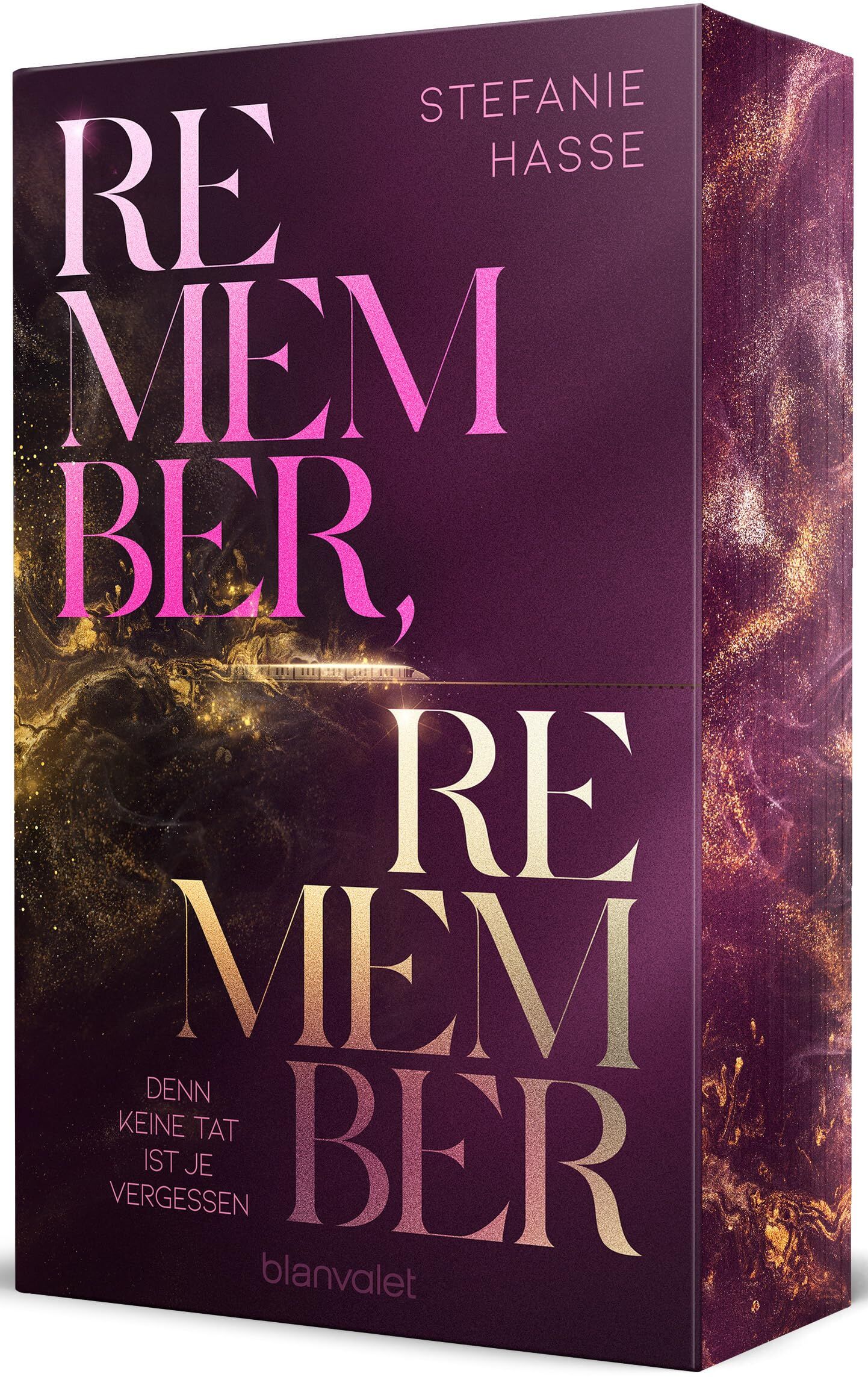 Stefanie Hasse - Remember, Remember - Denn keine Tat ist je vergessen: Roman - Spicy New Adult trifft auf explosiven Thrill – der neue Roman von SPIEGEL-Bestsellerautorin Stefanie Hasse! - Preis vom 07.10.2026 11:45:10 h