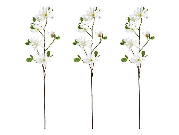 Kunstblume CREATIV GREEN Sternmagnolie , beige (creme), H:86cm, Kunststoff, Kunstpflanzen, Kunstblume, mit großen Blüten
