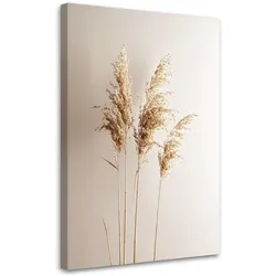 LEINWANDBILD Pampasgraspflanzen Natur Beige 40x60cm