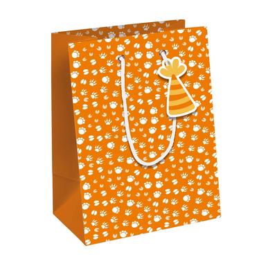 Clairefontaine 6x Safari, Kraft weiß, Geschenktasche M 21,5x10,2x25,3 cm - Orange 32505-3C
