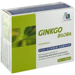 Ginkgo 100mg Kaps + B1 C+e 192 ST