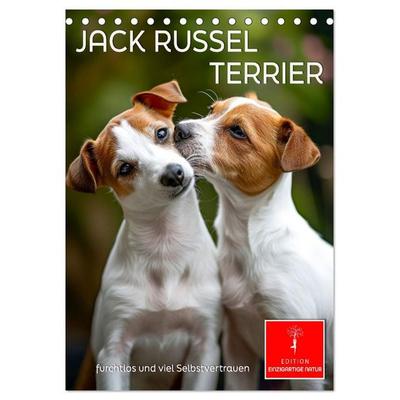 Jack Russel Terrier - furchtlos und viel Selbstvertrauen (Tischkalender 2027 DIN A5 hoch), CALVENDO Monatskalender