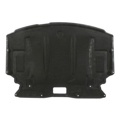 BLIC Motorabdeckung 6601050000035p für BMW