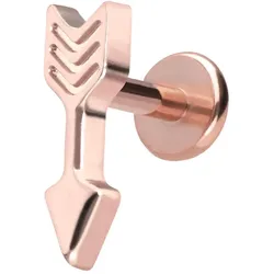 Titan Labret mit Push Fit PFEIL