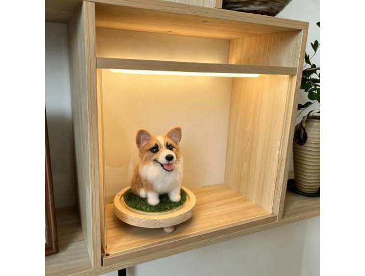 Acryl Vitrine Transparente Acrylbox Für Hundefiguren, Große Stapelbare Staubdichte Acryl-Vitrine mit Beleuchtung für Längliche Actionfiguren Tischvitrine(60x50xH50cm/24x20x20in)