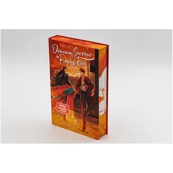 Drowning Sorrows in Raging Fire 1, Belletristik von Priest