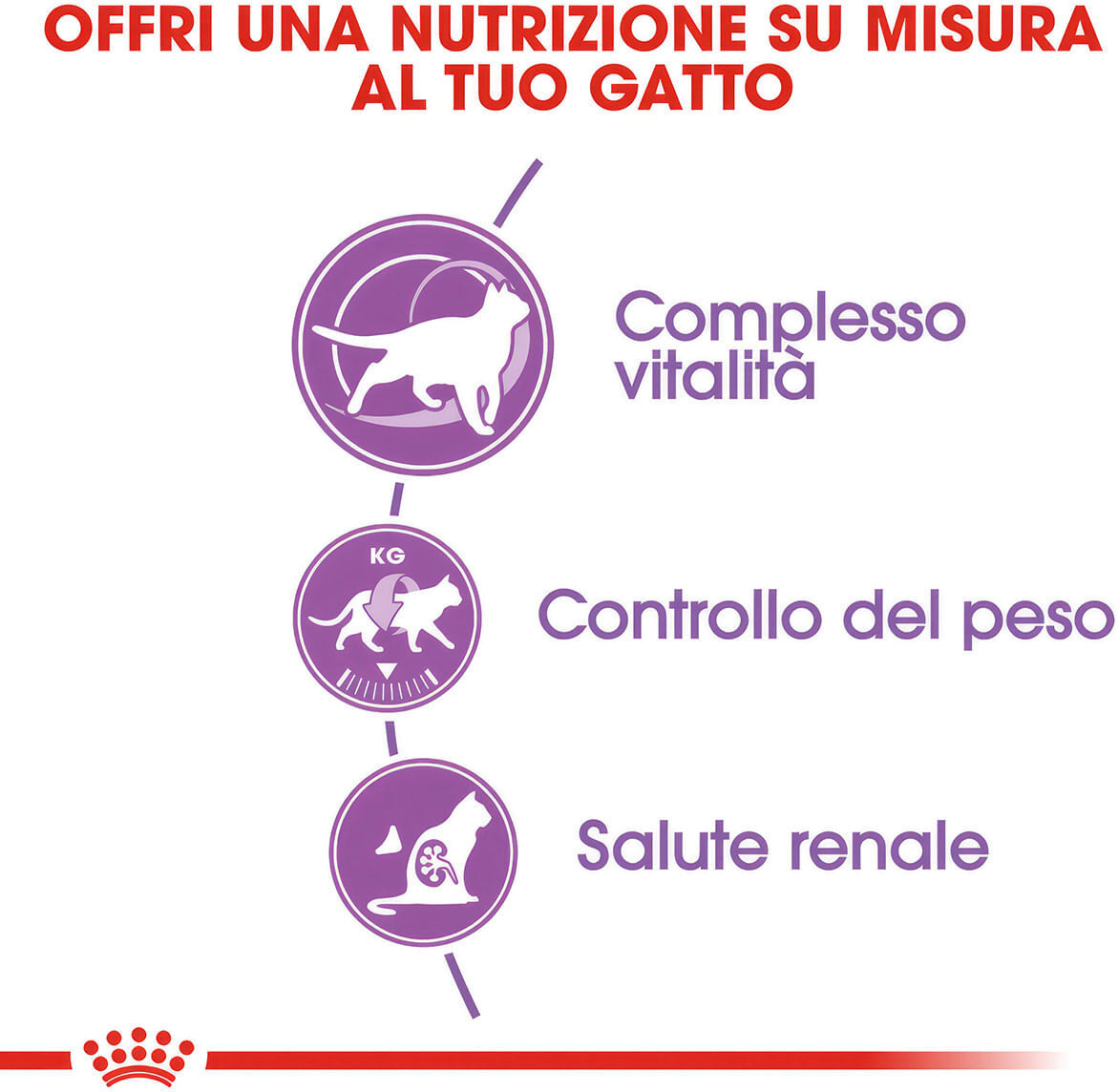 Royal Canin Cat Sterilised +7 Alimento completo per gatti sterilizzati 400G