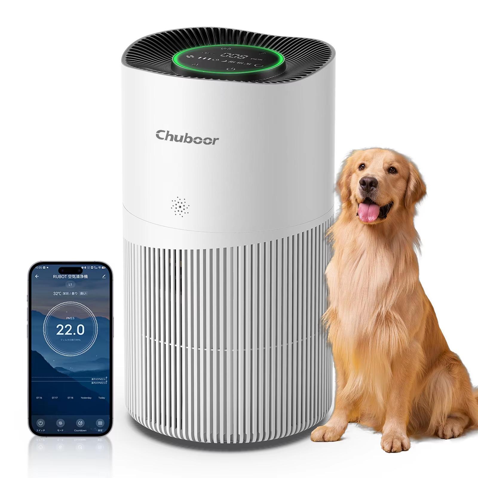 Luftreiniger - PJ10 HEPA-Luftreiniger - WiFi - H13-HEPA-Filter - Für über 61 m² - ≤25 dB leise - Geruchsentfernung - Tragbar