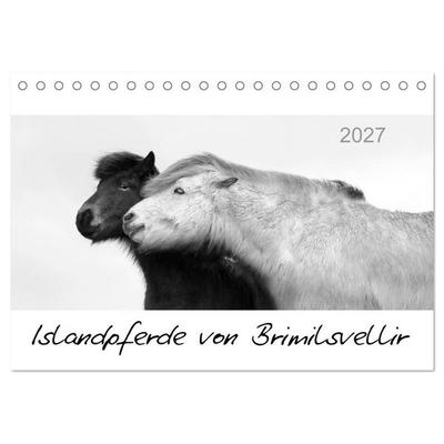 Islandpferde von Brimilsvellir (Tischkalender 2027 DIN A5 quer), CALVENDO Monatskalender