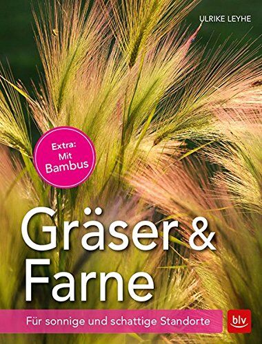 Ulrike Leyhe - Gräser und Farne: Für sonnige und schattige Standorte - Preis vom 09.10.2026 07:28:09 h