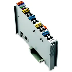 WAGO GmbH &amp; Co. KG Analog Ausgangsklemme 750-553