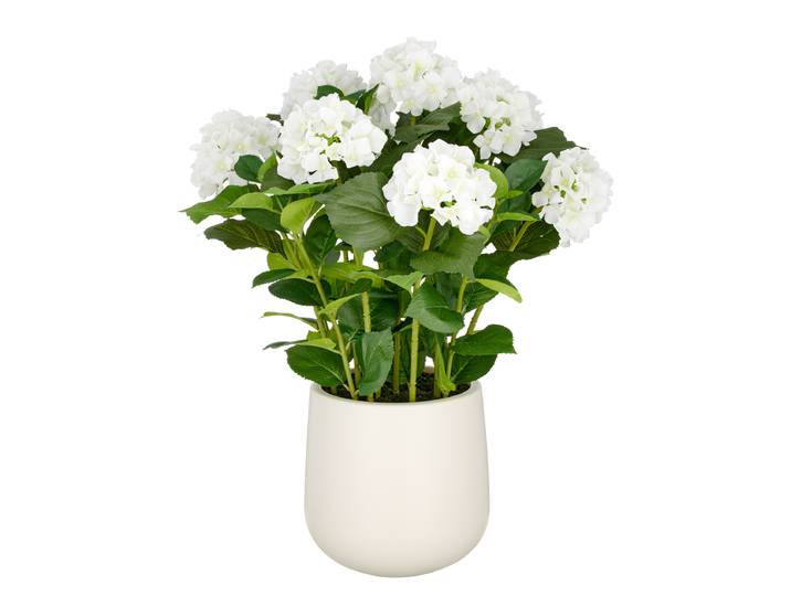 Hortensias artificiels 50 x 70 x 50cm Vert / Blanc