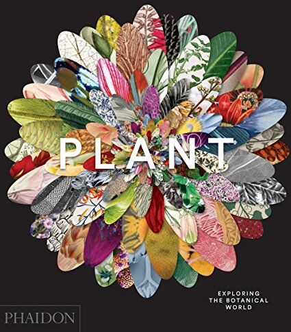 Phaidon Editors - Plant: Exploring the Botanical World - Preis vom 01.10.2026 17:08:56 h