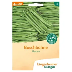 Bingenheimer Saatgut Buschbohne Marona demeter