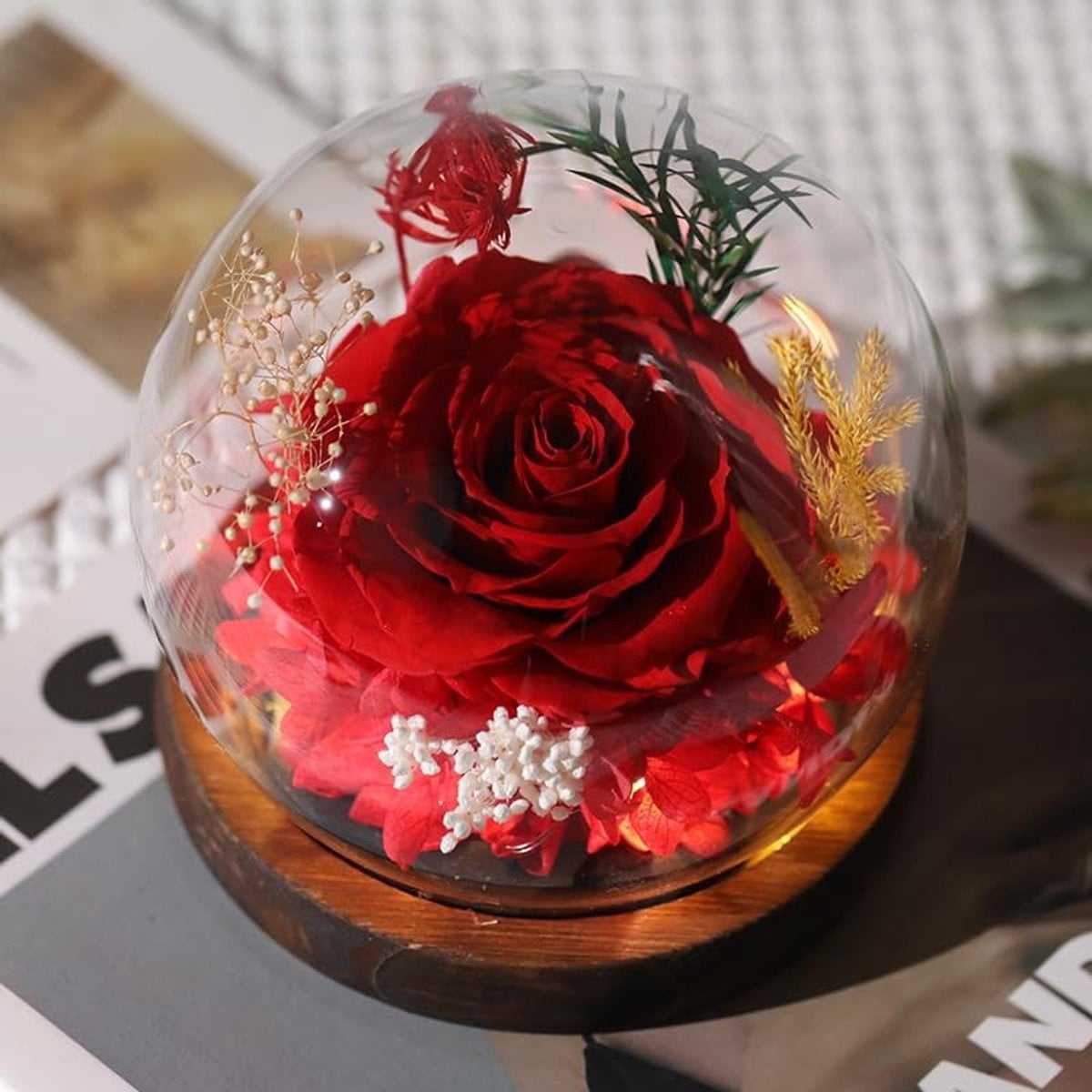 Dailygoods Eeuwige Roos in Glazen Kap met Houten Sokkel