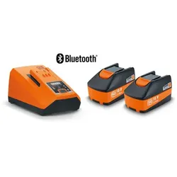 Akku-Starter-Set, Ladegerät ALG 80 BC, 2 Akkus 18V/6Ah