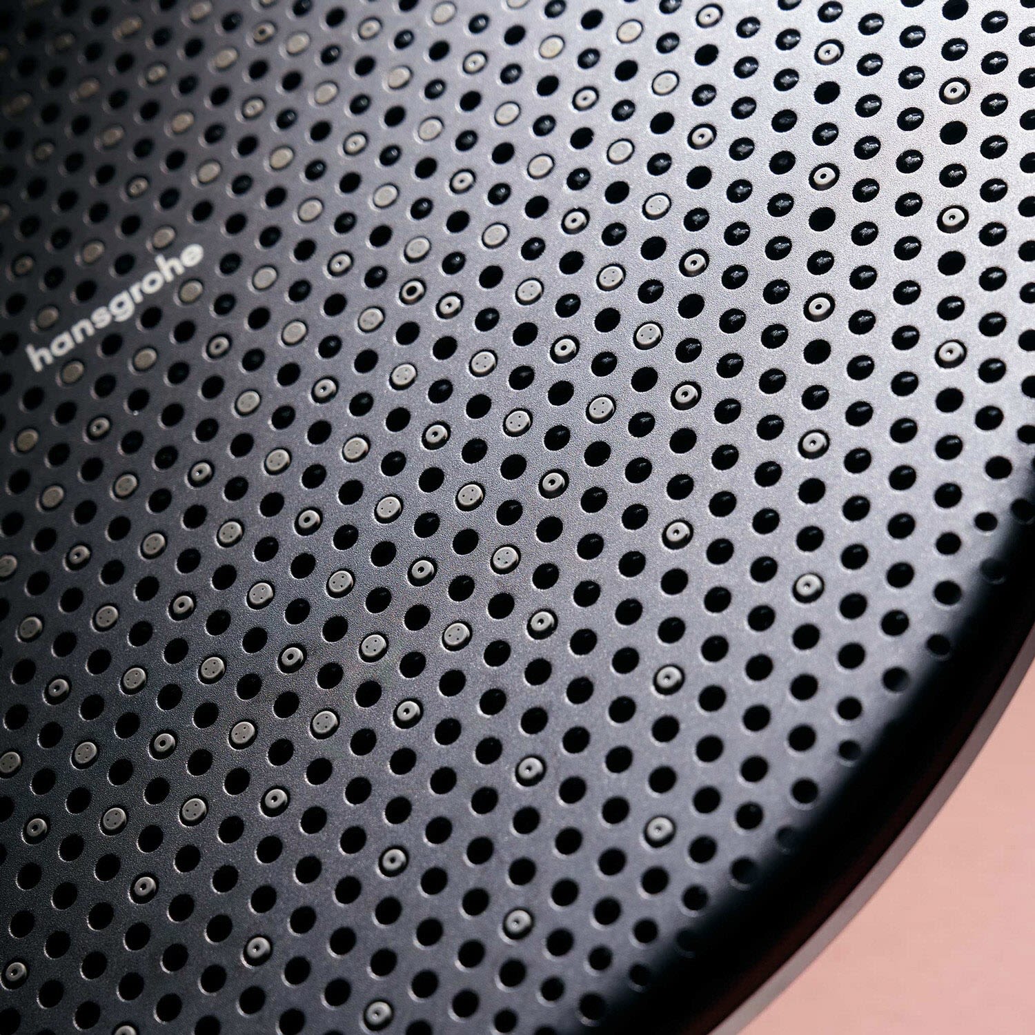 Hansgrohe Raindance Alive S Kopfbrause 300 rund, 1 Strahlart