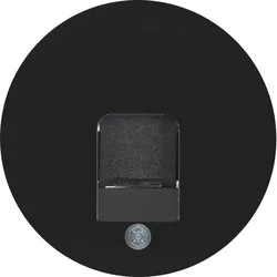 Hager WLF1058BG Zentralstück mit Staubschutzschieber R.Classic schwarz, glänzend