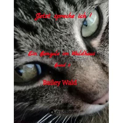 Jetzt spreche ich !, Gebundene Ausgabe von Bailey Wald, Tredition, 978-3-384-43082-3