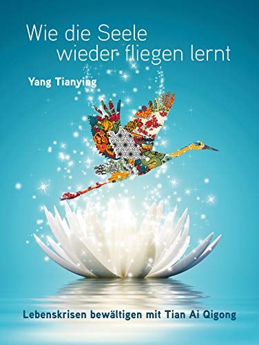 Yang Tianying - Wie die Seele wieder fliegen lernt. Lebenskrisen bewältigen mit Tian Ai Qigong - Preis vom 30.09.2026 22:30:23 h