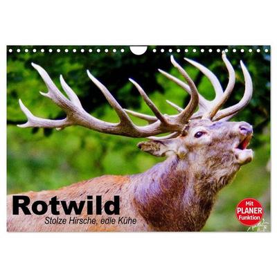 Rotwild. Edle Hirsche, stolze Kühe (Wandkalender 2027 DIN A4 quer), CALVENDO Monatskalender