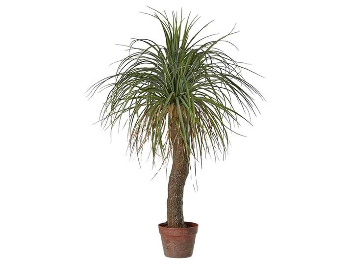Kunstpflanze Palme Yucca h: 100 cm
