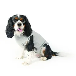 Fashion Dog Cura Pets Wundschutz-Body für Hunde und Katzen Boys - 47 cm