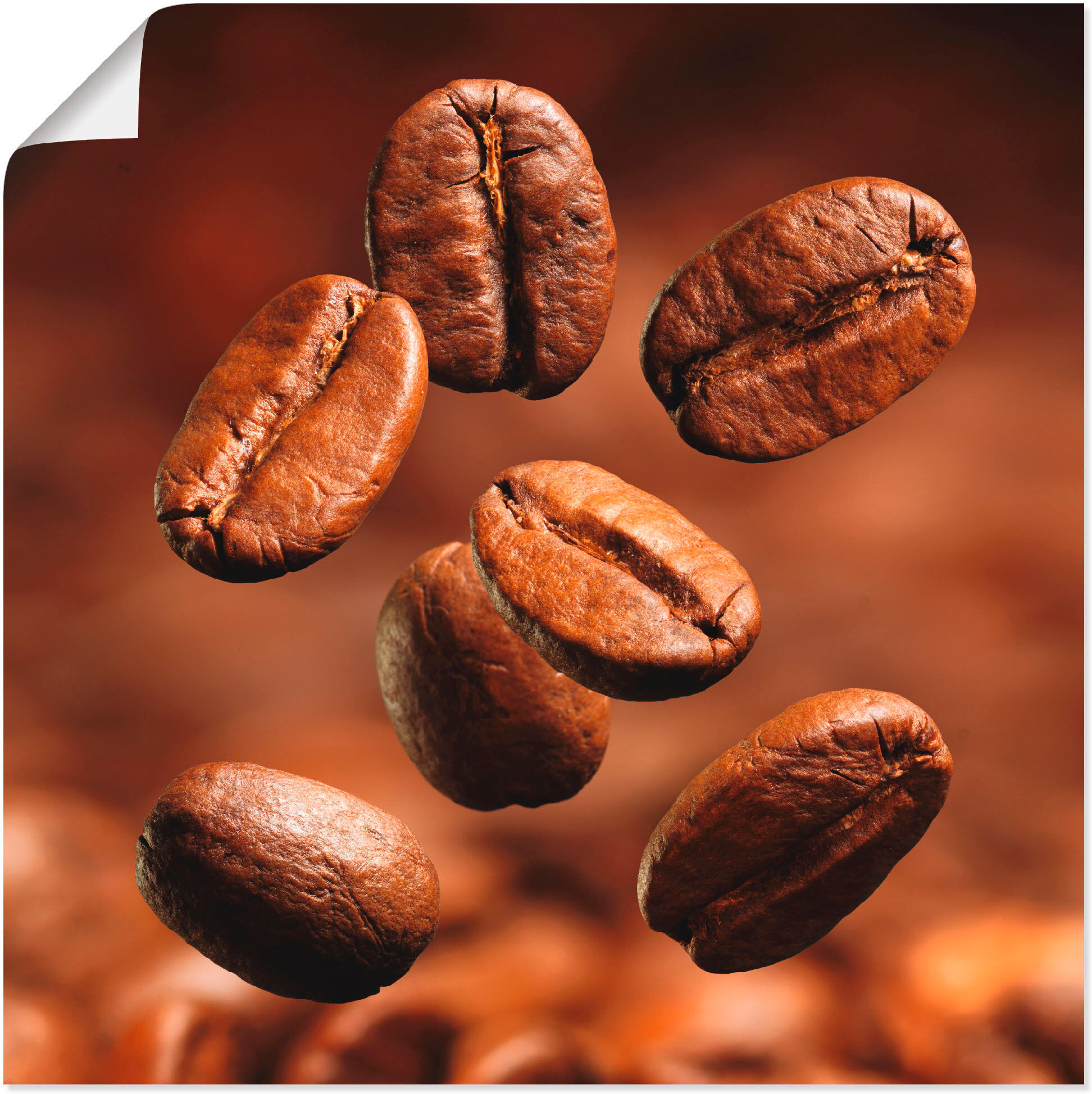 Poster ARTLAND "Nahaufnahme von Kaffeebohnen", braun (farbe bild(er): braun), B:30cm H:30cm, Bilder, Poster, ohne Rahmen farbe bild(er): braun B/H/T: 30cm x 30cm, Poster Getränke quadratisch, 1 Stk.