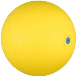 WV Ball, Gymnastikball