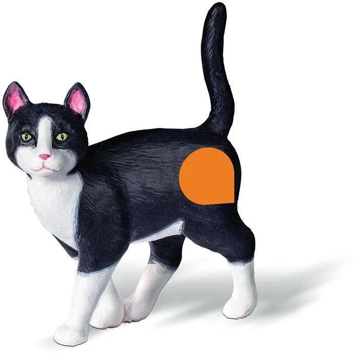Ravensburger tiptoi Kira Katze und die Sache mit dem Streit
