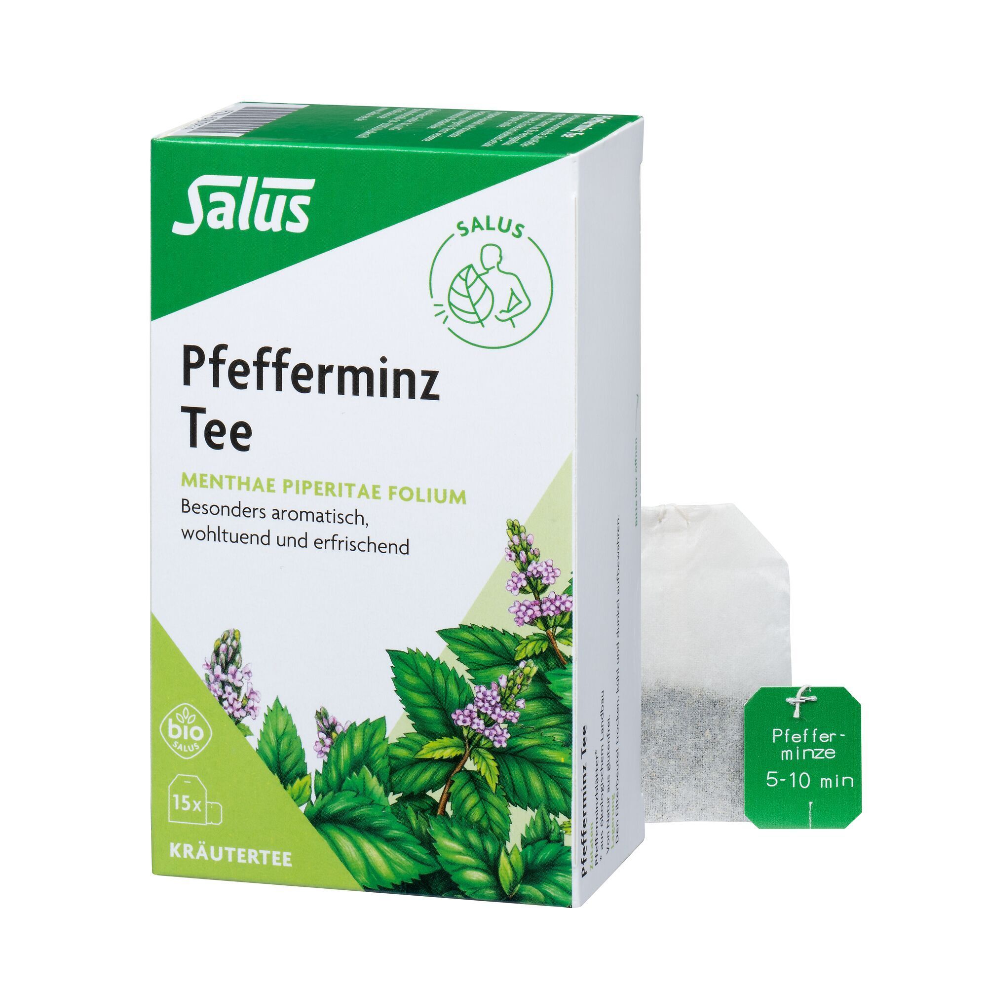 Pfefferminz TEE Menthae piperitae folium Bio Salus 15 St Filterbeutel