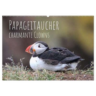 Papageitaucher - charmante Clowns (Wandkalender 2026 DIN A2 quer), CALVENDO Monatskalender
