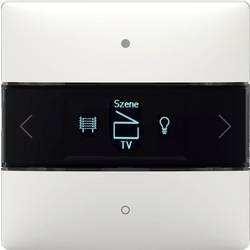 Theben 4800418 Controller LUXORliving iON8