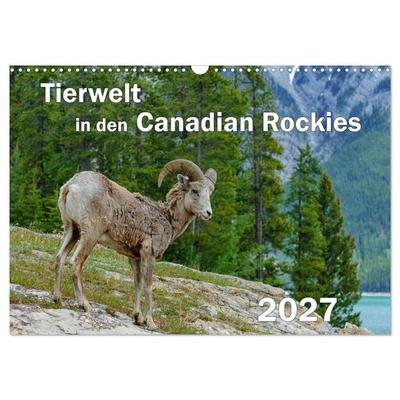 Tierwelt in den Canadian Rockies (Wandkalender 2027 DIN A3 quer), CALVENDO Monatskalender