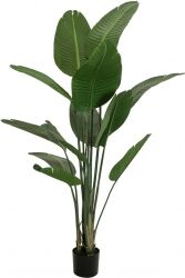 Europalms Strelitzia, artificial plant, 170cm TILBUD NU