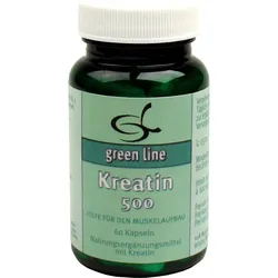 Kreatin 500 60 ST