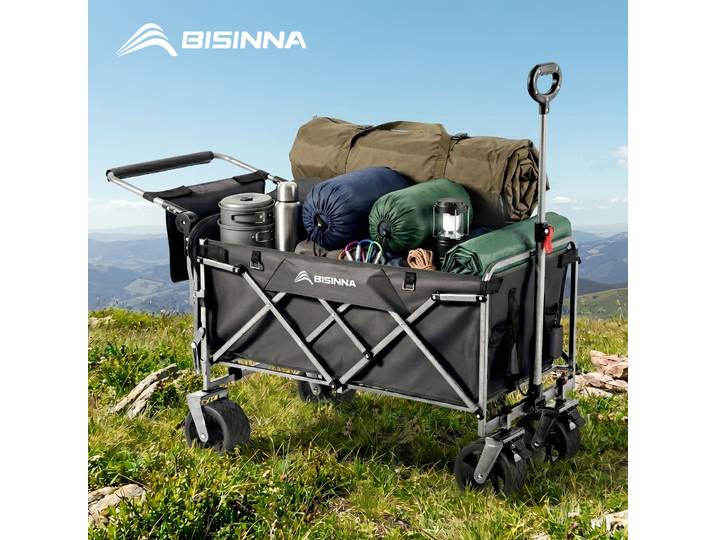 BISINNA Camping Wagon chariot pliant utilitaire robuste grande capacité chariot en plein air Shopping pique-nique pliable camion à main