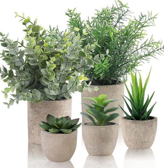 Unyqoos 5-delige set mini-kunstplanten in cellulosepotten, groene decoratie voor badkamer en keuken