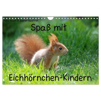 Spaß mit Eichhörnchen-Kindern (Wandkalender 2027 DIN A4 quer), CALVENDO Monatskalender