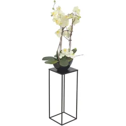 möbel direkt online Blumenständer Ines "M"