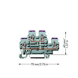 WAGO 870-508 Doppelstock-Durchgangsklemme 5 mm Zugfeder Belegung: L Grau 50 St. Piece