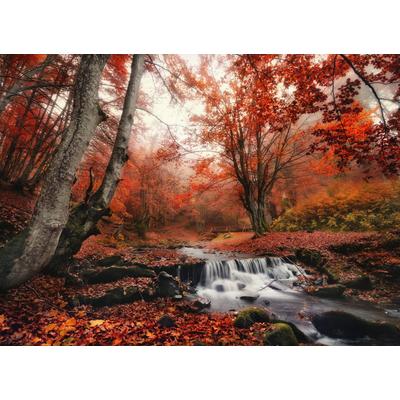 Fototapete PAPERMOON "Foggy Forest Creek", bunt, B:2,5m L:1,86m, Vlies, Tapeten