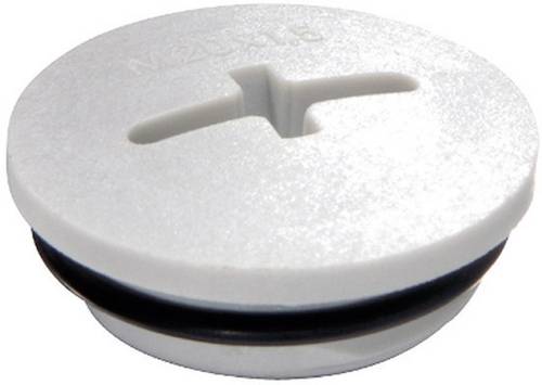 Wiska 10064636 EVSG-ORD M20 RAL 7035 Verschlussschraube M20 Polyamid Lichtgrau (RAL 7035)