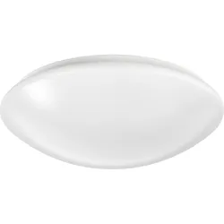 Ridi-Leuchten LED-Anbauleuchte RUFO2290NDWS830H0150