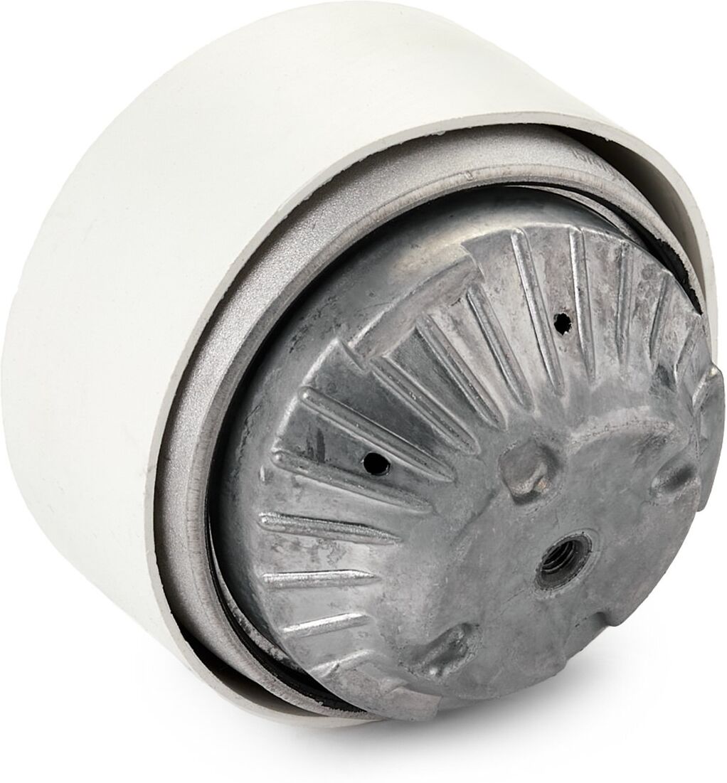 RIDEX 247E0755 Engine mount